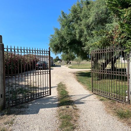 « La Parenthese » Gite En Camargue アルル エクステリア 写真