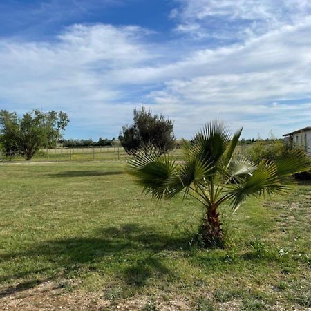 « La Parenthese » Gite En Camargue アルル エクステリア 写真