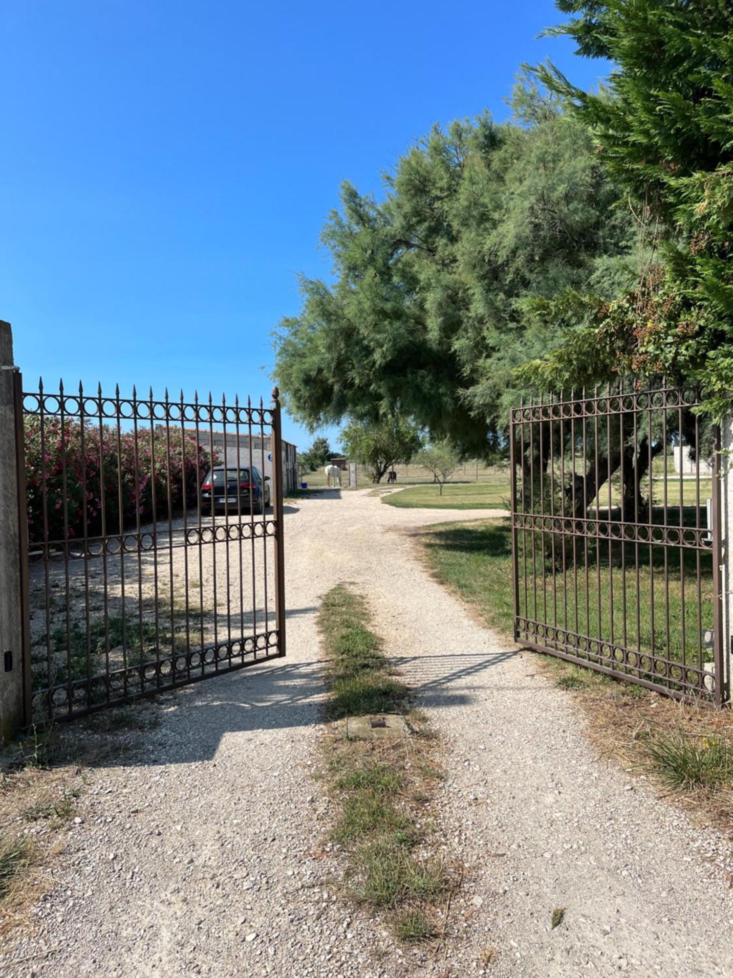 « La Parenthese » Gite En Camargue アルル エクステリア 写真